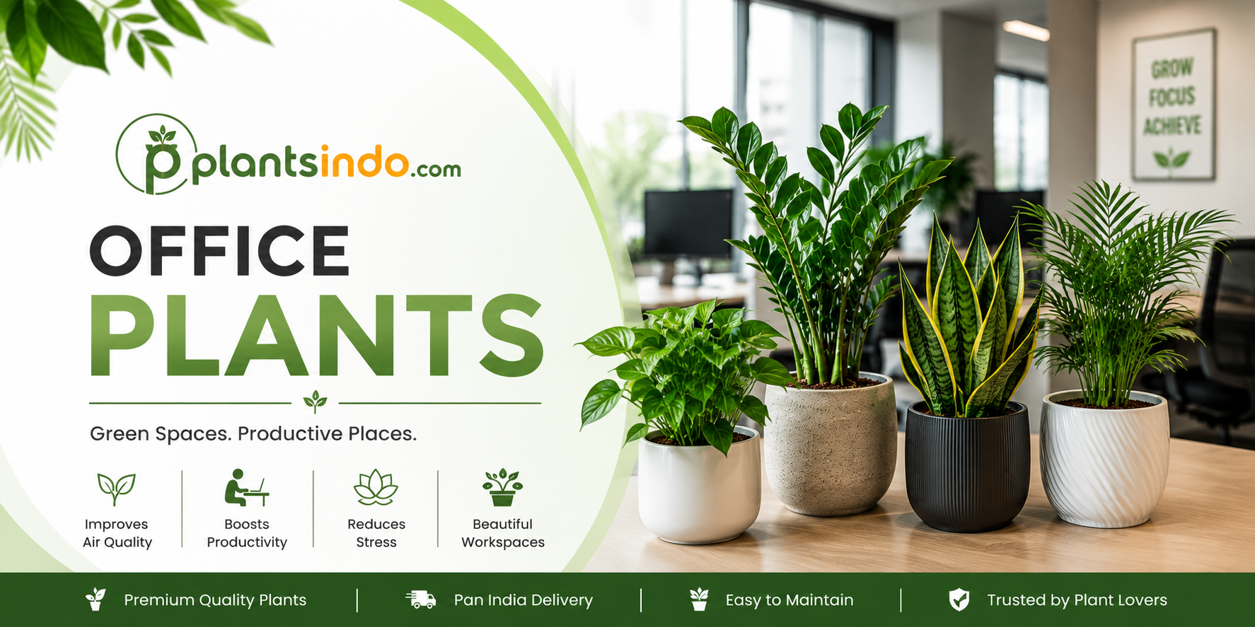 💼 Office Plants