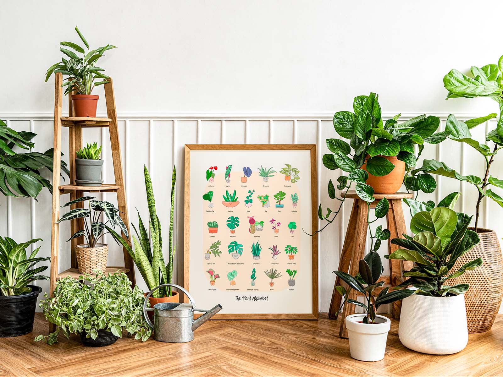 🎁 Gift Plants