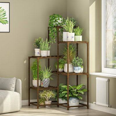 🏡 Living Room Plants