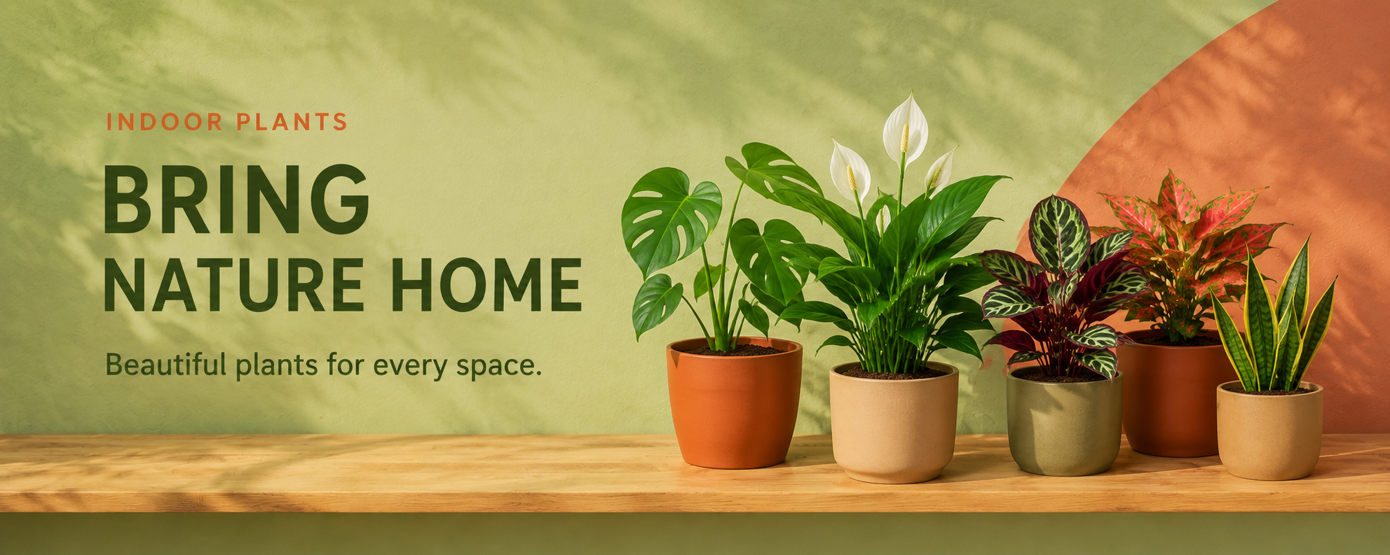 Indoor Plants