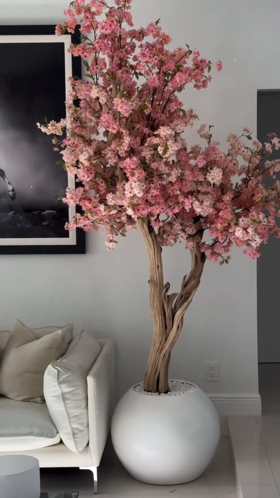 Air Purifying Plants